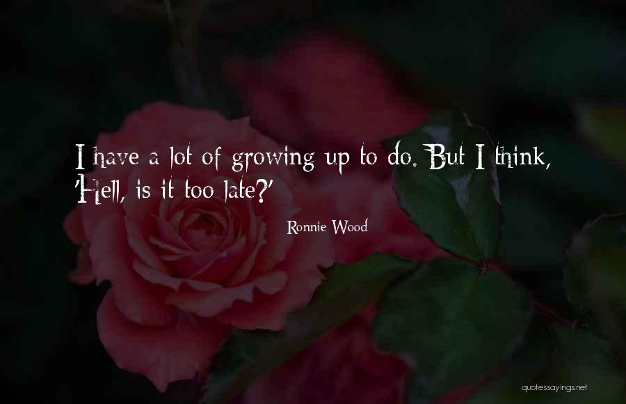 Theodosiadis Inox Quotes By Ronnie Wood Theodosiadis Inox Quotes By Ronnie Wood