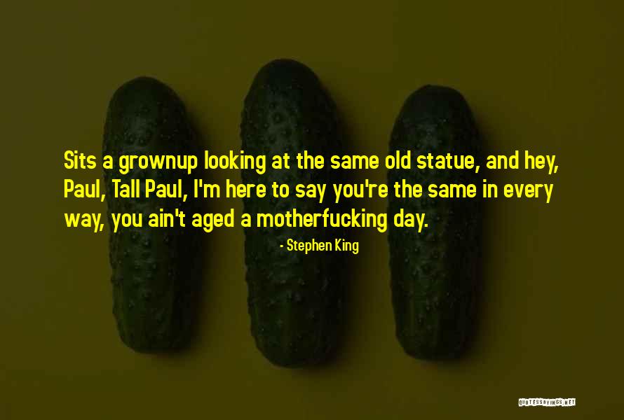 Theodule Augustin Quotes By Stephen King Theodule Augustin Quotes By Stephen King