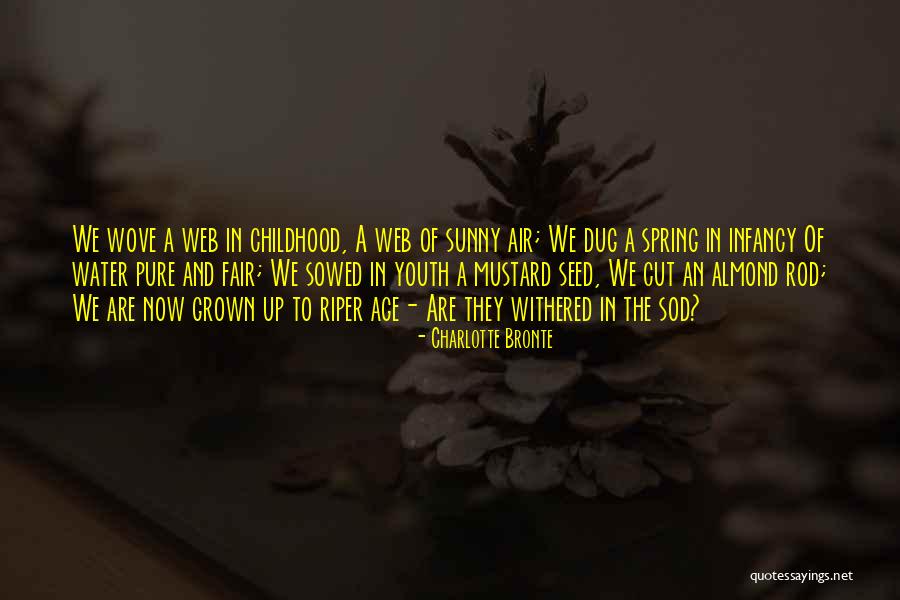 Theologiae Quotes By Charlotte Bronte Theologiae Quotes By Charlotte Bronte