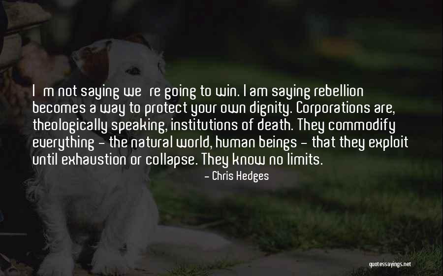 Theologically Quotes By Chris Hedges Theologically Quotes By Chris Hedges