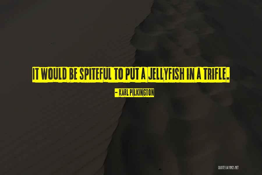 Theonomy Tillich Quotes By Karl Pilkington Theonomy Tillich Quotes By Karl Pilkington