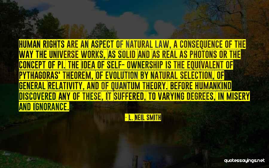 Theorem And Theory Quotes By L. Neil Smith Theorem And Theory Quotes By L. Neil Smith