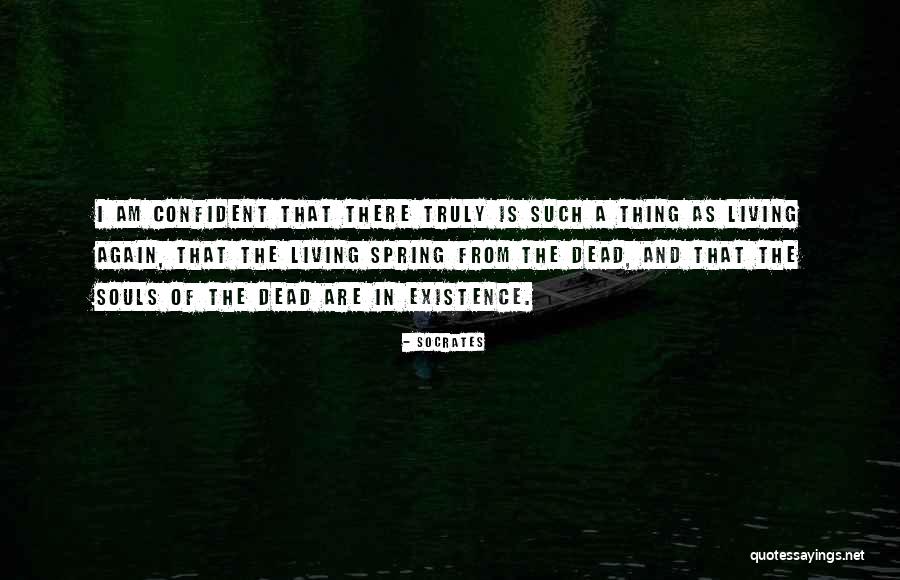 Theorem And Theory Quotes By Socrates Theorem And Theory Quotes By Socrates