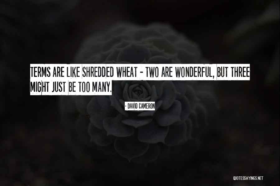 Theoretically Synonyms Quotes By David Cameron Theoretically Synonyms Quotes By David Cameron