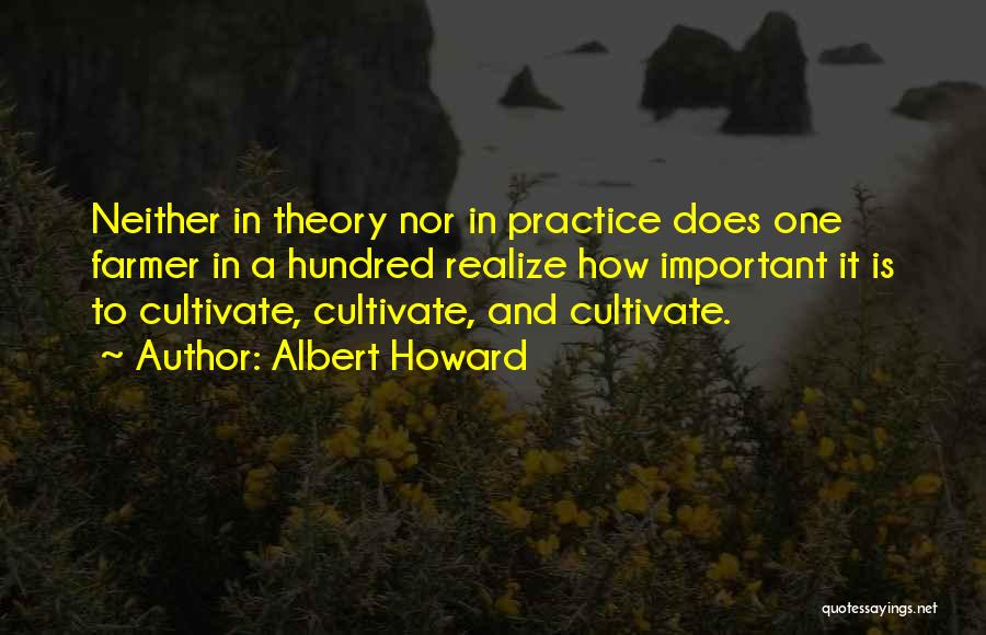 Theory And Practice Quotes By Albert Howard
