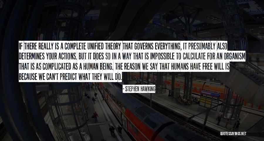 Theory Of Everything Stephen Quotes By Stephen Hawking Theory Of Everything Stephen Quotes By Stephen Hawking
