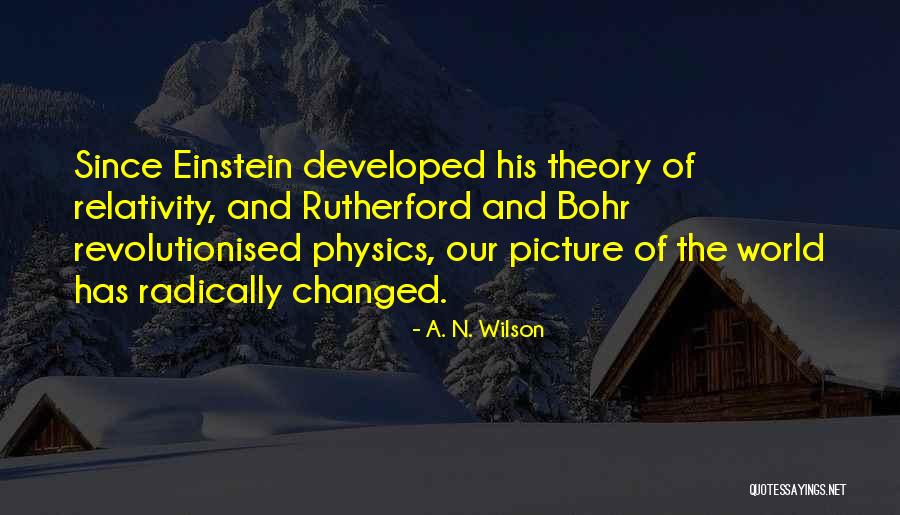 Theory Of Relativity Quotes By A. N. Wilson