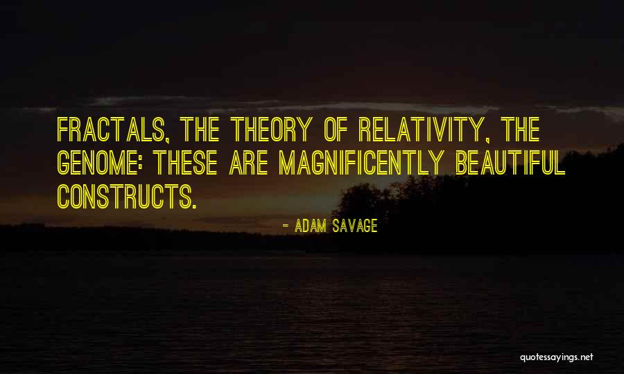 Theory Of Relativity Quotes By Adam Savage