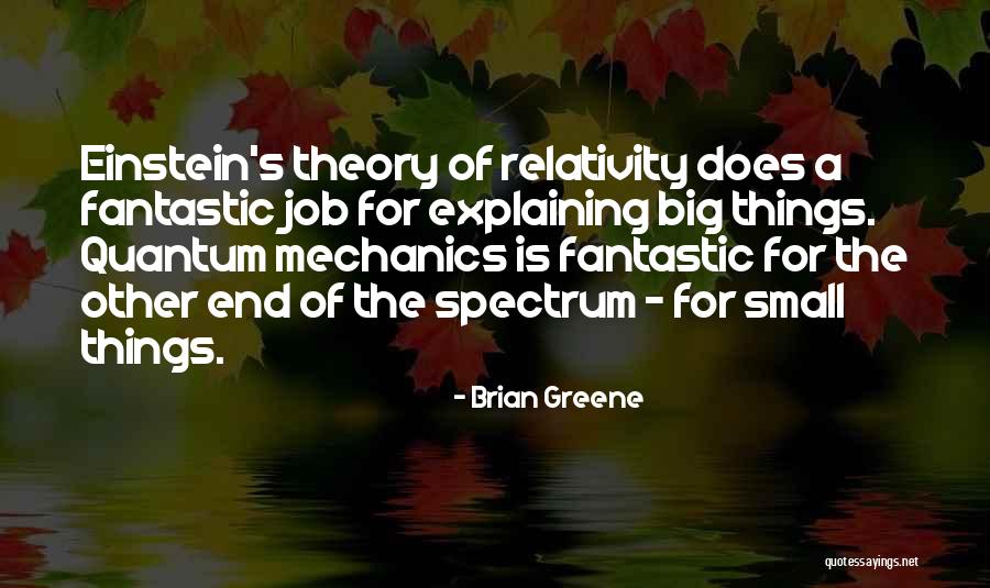 Theory Of Relativity Quotes By Brian Greene