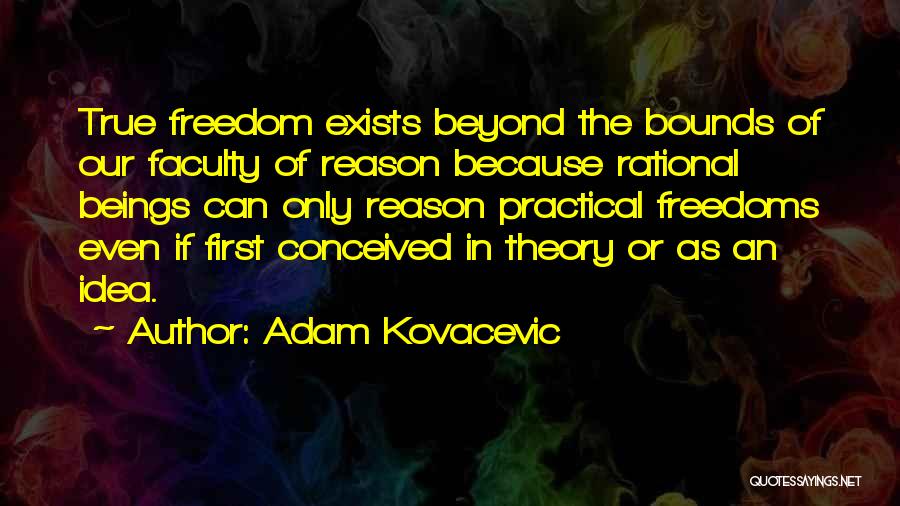 Theory Vs Practical Quotes By Adam Kovacevic