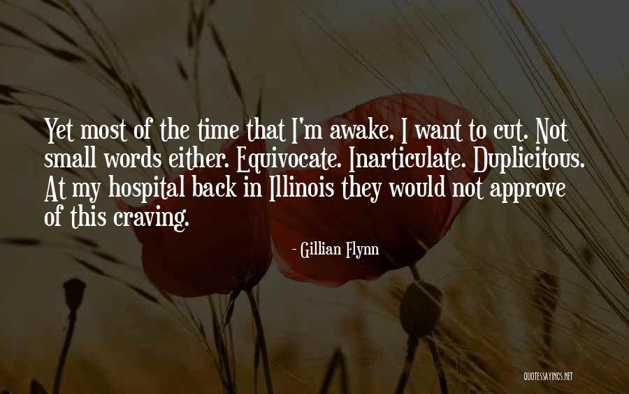Theosophizing Quotes By Gillian Flynn Theosophizing Quotes By Gillian Flynn