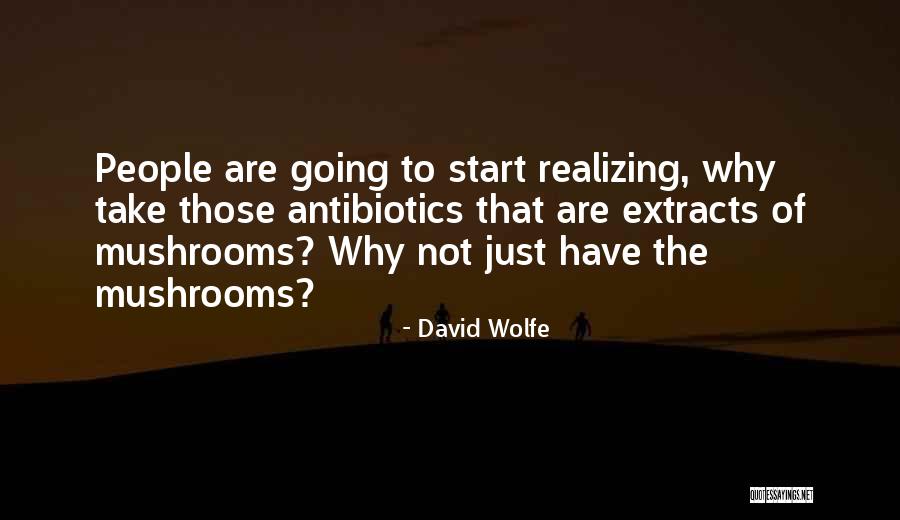 Therapsid Dinosaurs Quotes By David Wolfe Therapsid Dinosaurs Quotes By David Wolfe