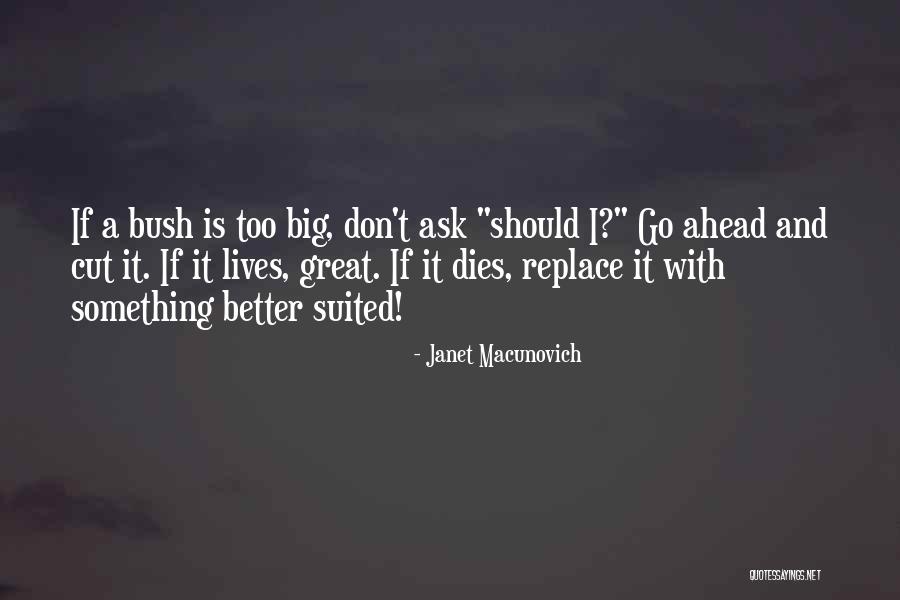 There Are Better Things Ahead Quotes By Janet Macunovich There Are Better Things Ahead Quotes By Janet Macunovich