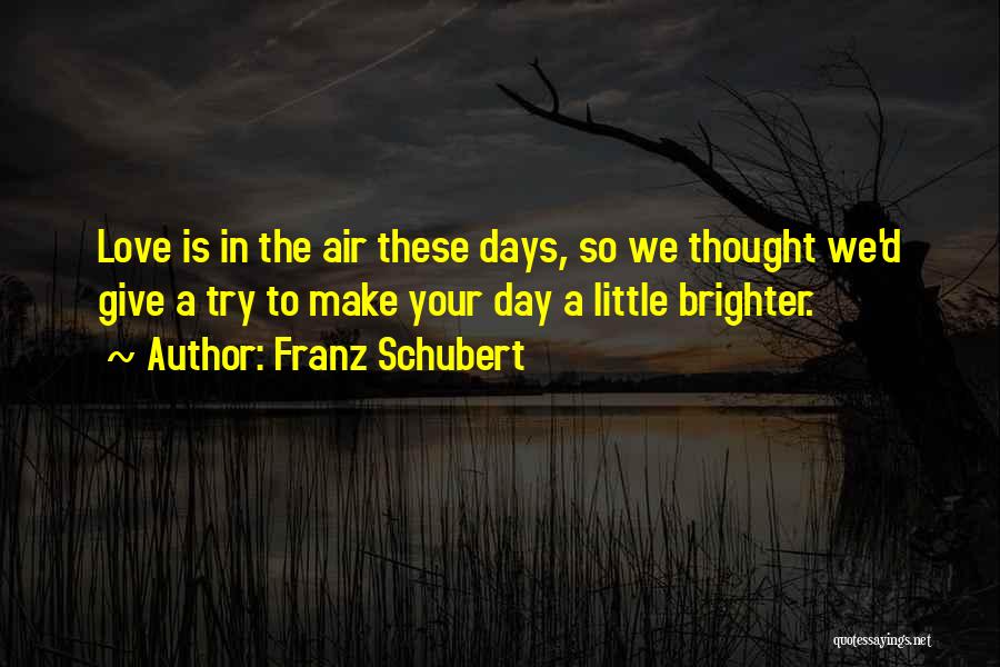 There Are Brighter Days Quotes By Franz Schubert