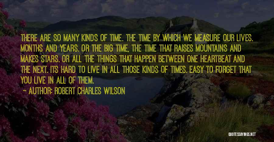 There Are Hard Times Quotes By Robert Charles Wilson