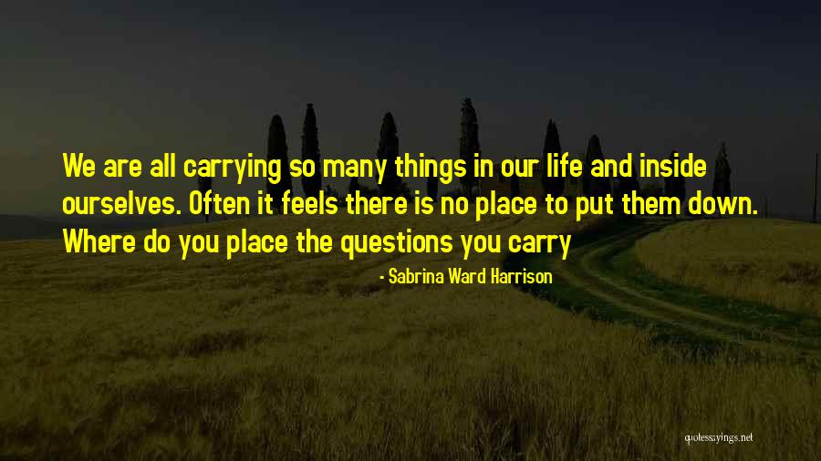 There Are Many Things In Life Quotes By Sabrina Ward Harrison There Are Many Things In Life Quotes By Sabrina Ward Harrison
