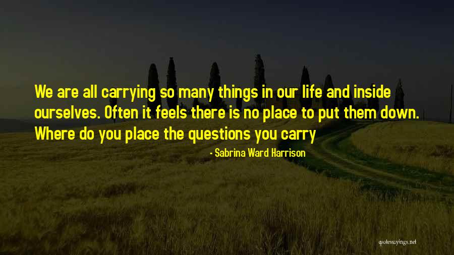 There Are Many Things In Life Quotes By Sabrina Ward Harrison