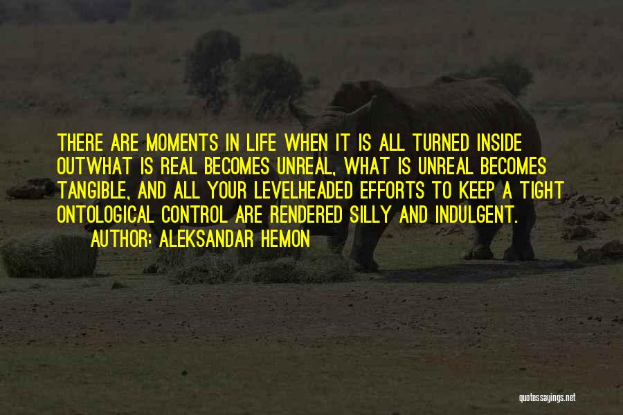 There Are Moments In Life Quotes By Aleksandar Hemon