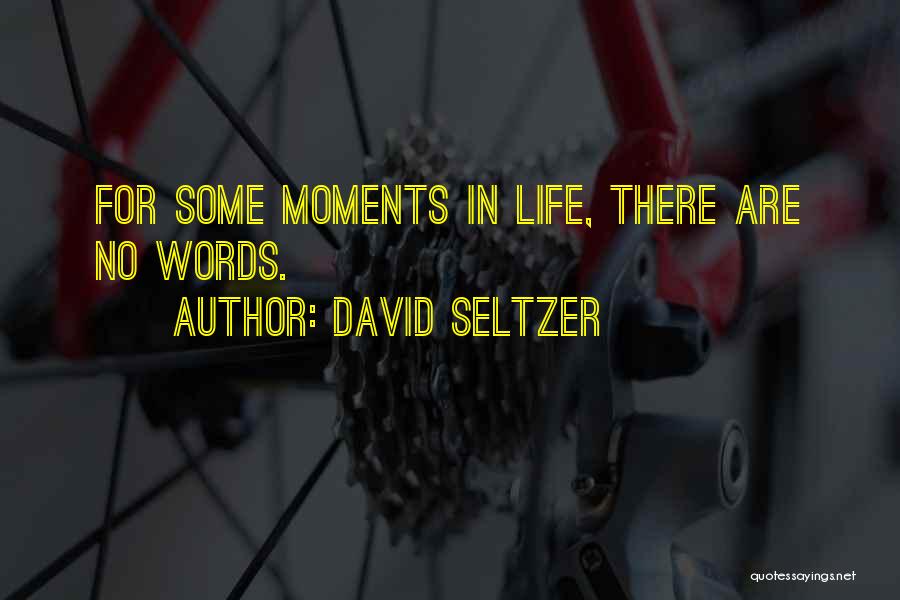 There Are Moments In Life Quotes By David Seltzer