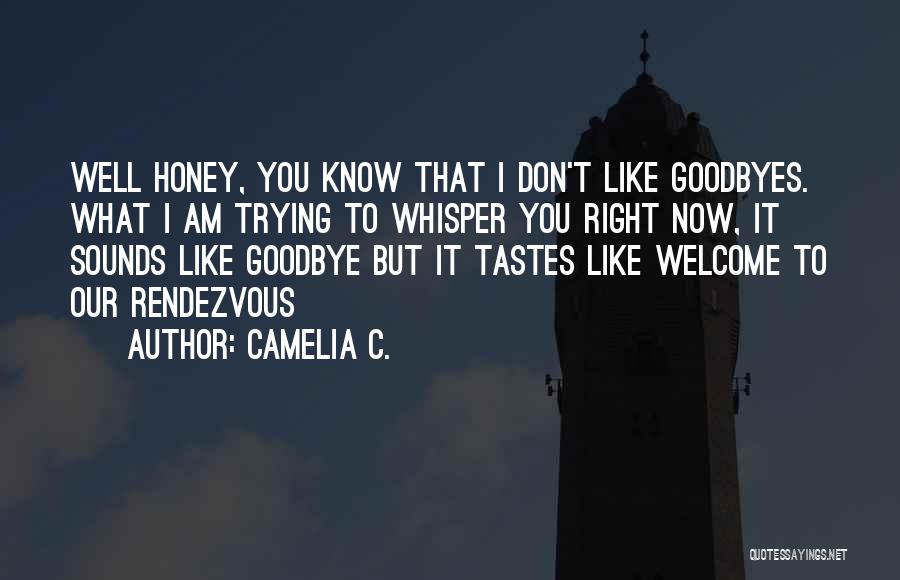 There Are No Goodbyes Quotes By Camelia C.