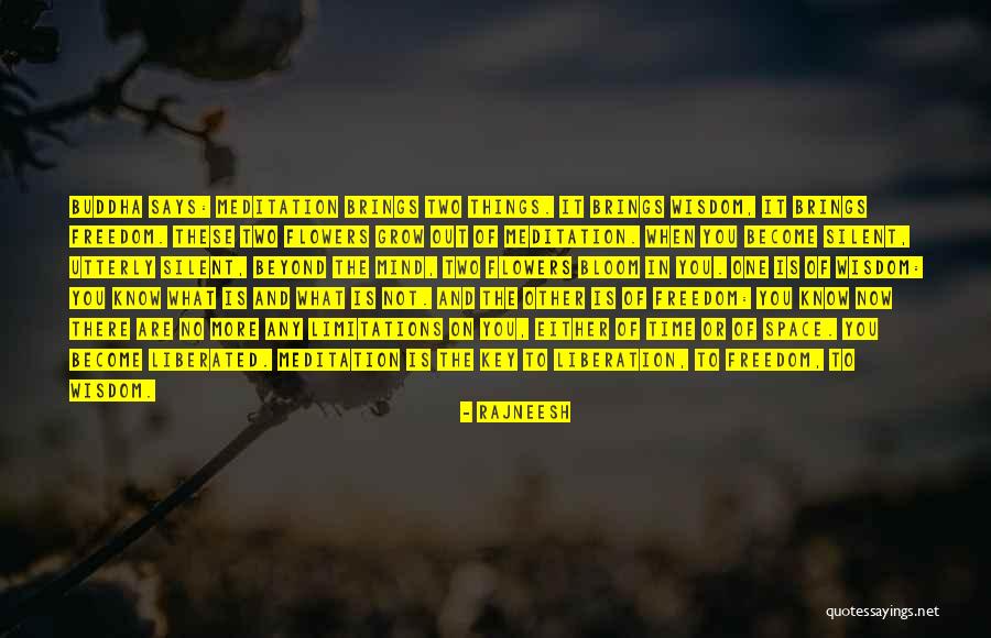 There Are No Limitations Quotes By Rajneesh There Are No Limitations Quotes By Rajneesh