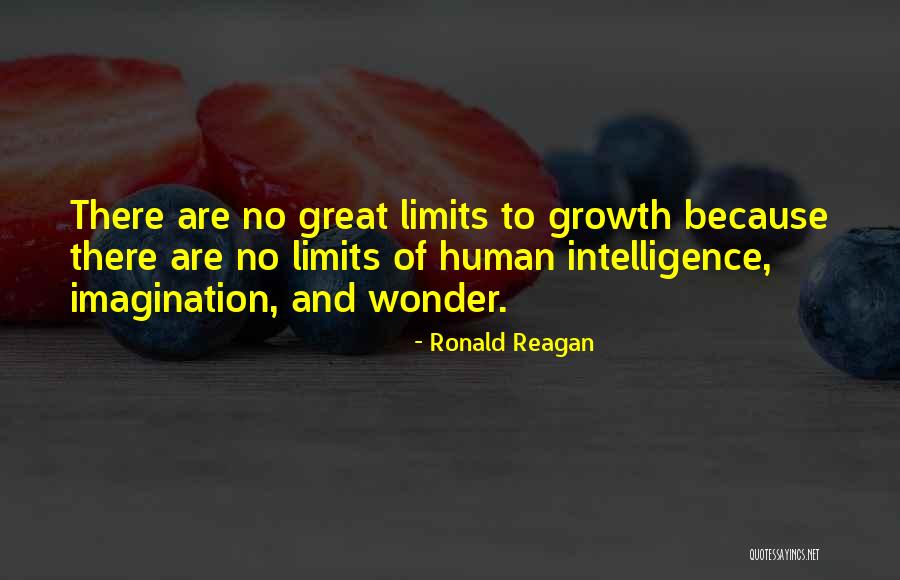 There Are No Limits Quotes By Ronald Reagan