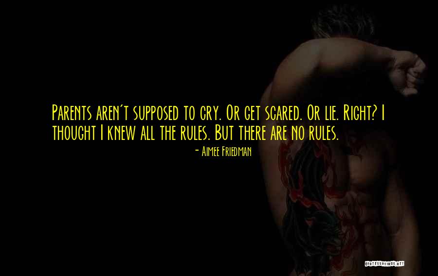 There Are No Rules Quotes By Aimee Friedman There Are No Rules Quotes By Aimee Friedman