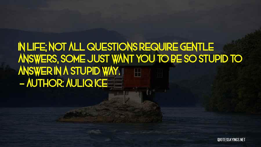 There Are No Stupid Questions Quotes By Auliq Ice