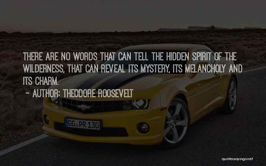 There Are No Words Quotes By Theodore Roosevelt