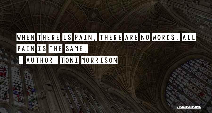 There Are No Words Quotes By Toni Morrison