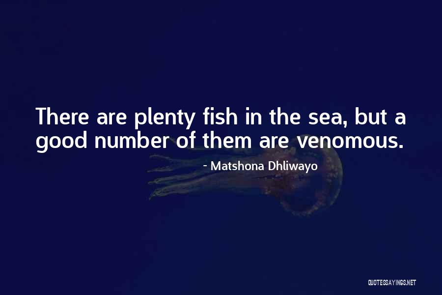 There Are Plenty Of Fish In The Sea Quotes By Matshona Dhliwayo