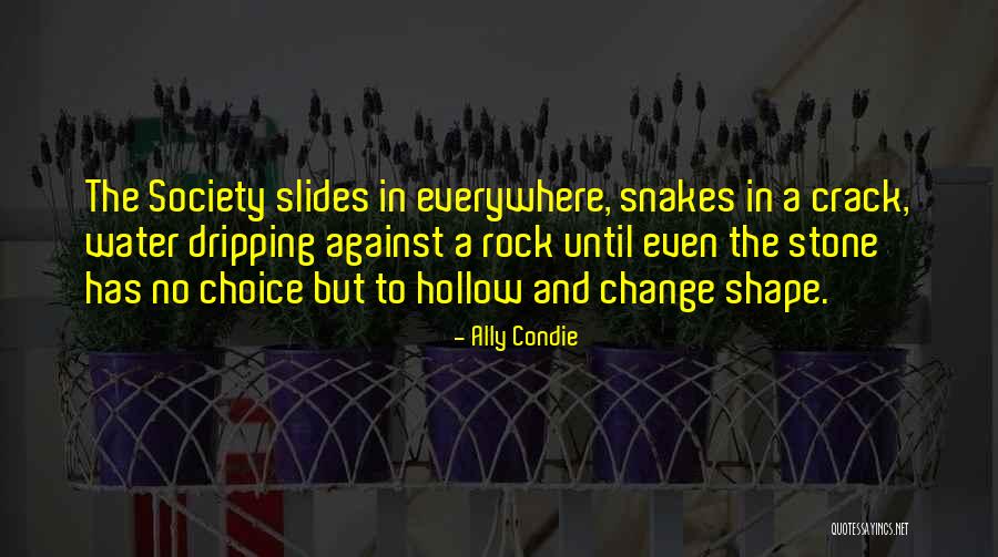 There Are Snakes Everywhere Quotes By Ally Condie There Are Snakes Everywhere Quotes By Ally Condie
