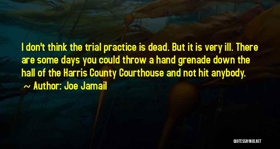 There Are Some Days Quotes By Joe Jamail