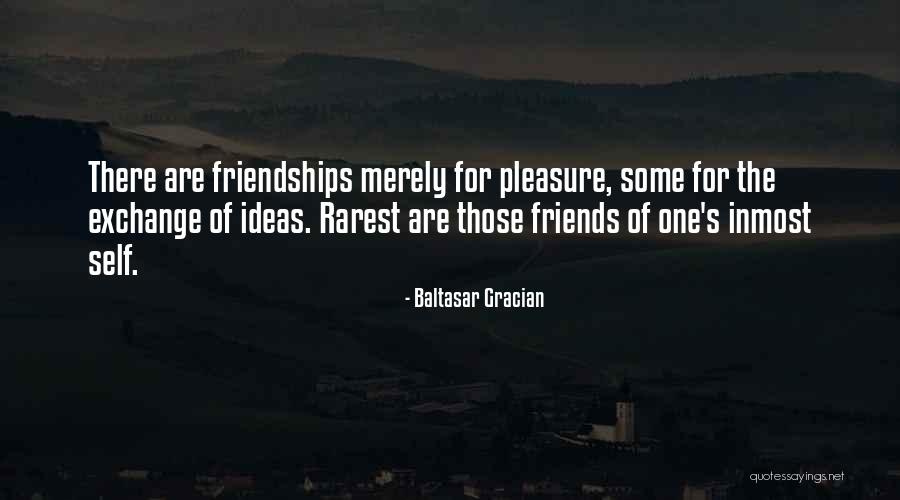 There Are Some Friends Quotes By Baltasar Gracian