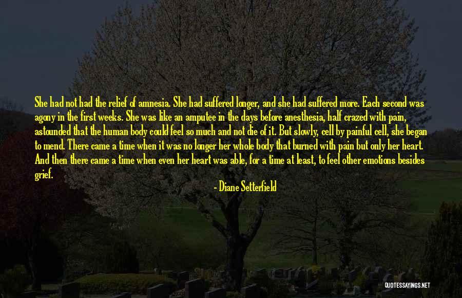 There Are Some Things Time Cannot Mend Quotes By Diane Setterfield There Are Some Things Time Cannot Mend Quotes By Diane Setterfield