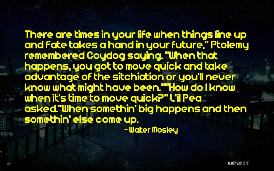 There Are Times In Life Quotes By Walter Mosley