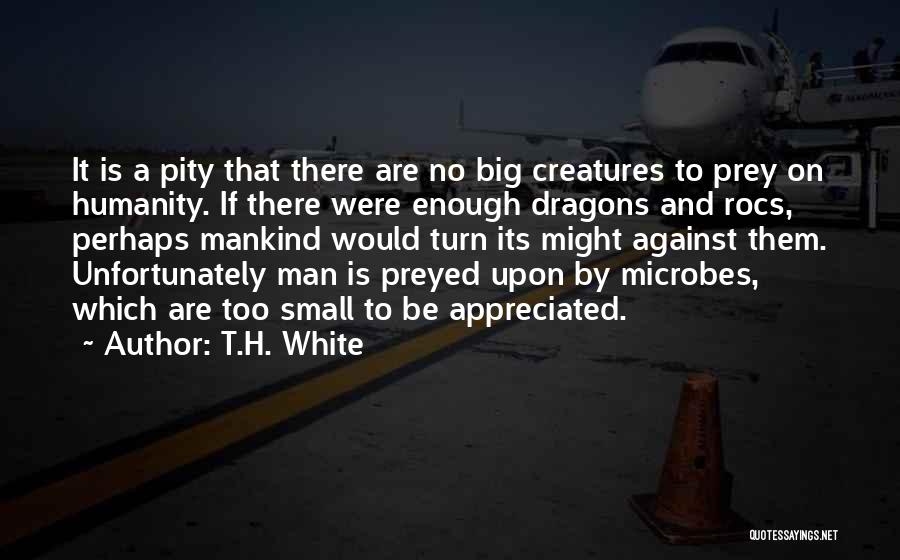 There Be Dragons Quotes By T.H. White
