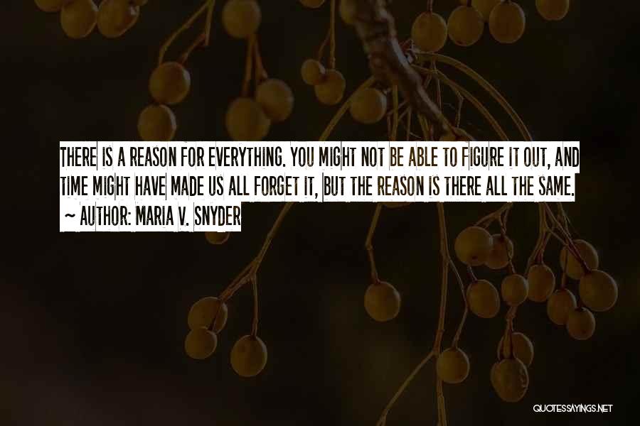 There Is A Reason For Everything Quotes By Maria V. Snyder