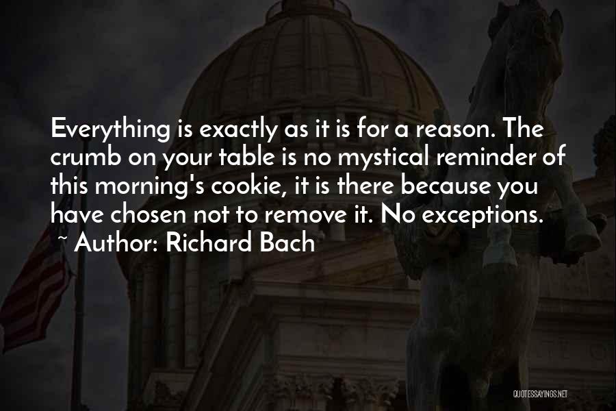 There Is A Reason For Everything Quotes By Richard Bach