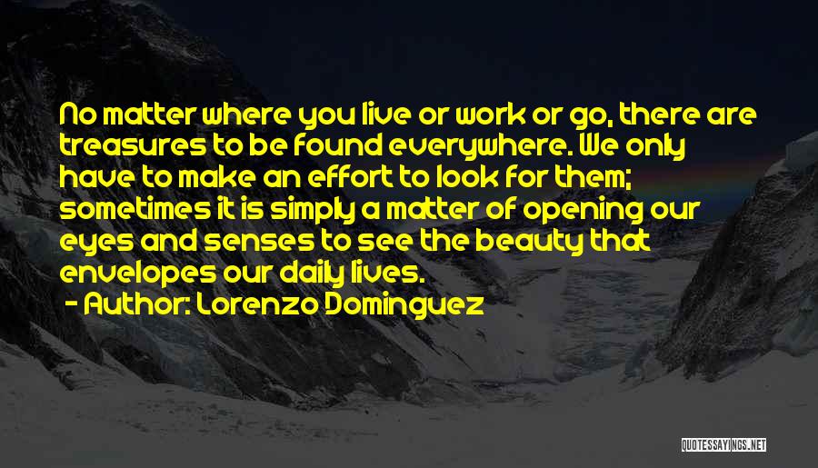 There Is Beauty Everywhere Quotes By Lorenzo Dominguez