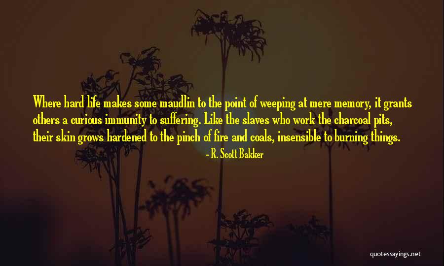 There Is Fire Within You Quotes By R. Scott Bakker There Is Fire Within You Quotes By R. Scott Bakker
