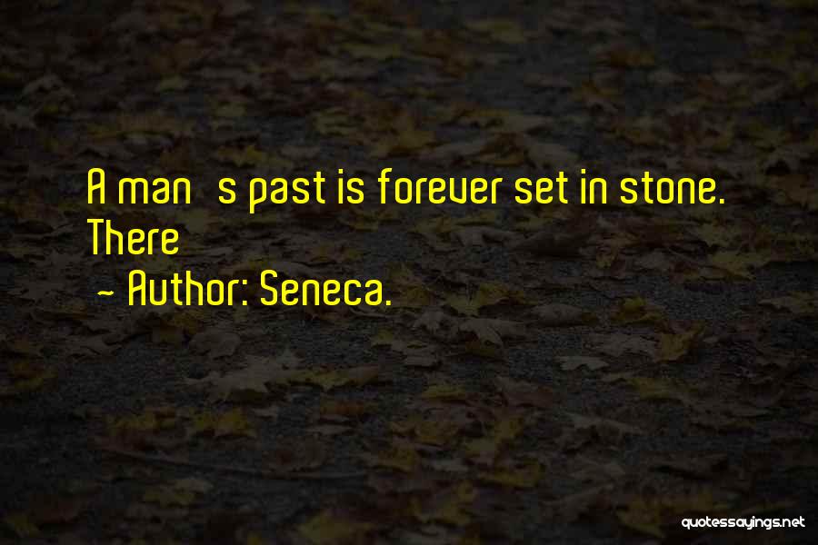 There Is Forever Quotes By Seneca.