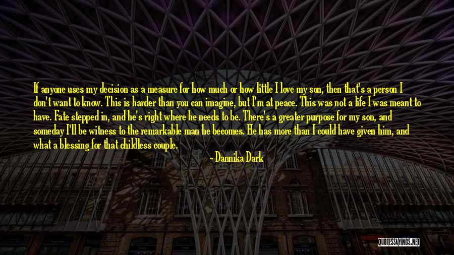 There Is More To Life Than Love Quotes By Dannika Dark