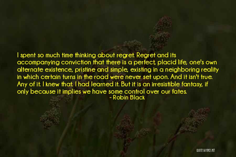 There Is Never A Perfect Time Quotes By Robin Black