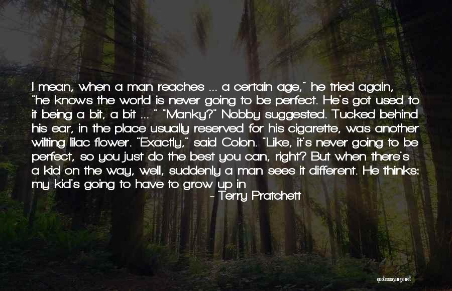 There Is Never A Perfect Time Quotes By Terry Pratchett There Is Never A Perfect Time Quotes By Terry Pratchett