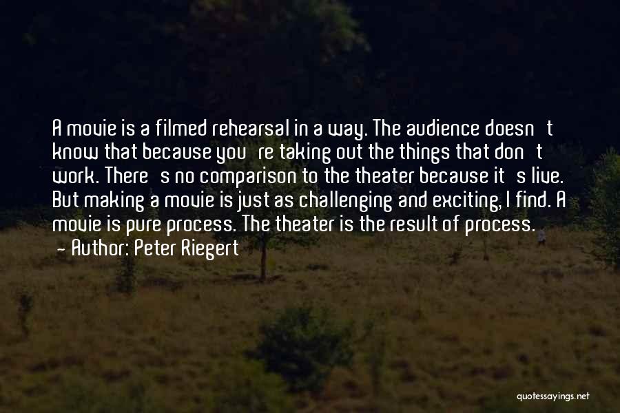 There Is No Comparison Quotes By Peter Riegert