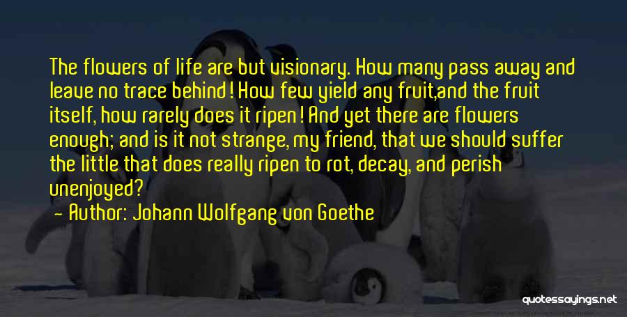 There Is No Friend Quotes By Johann Wolfgang Von Goethe