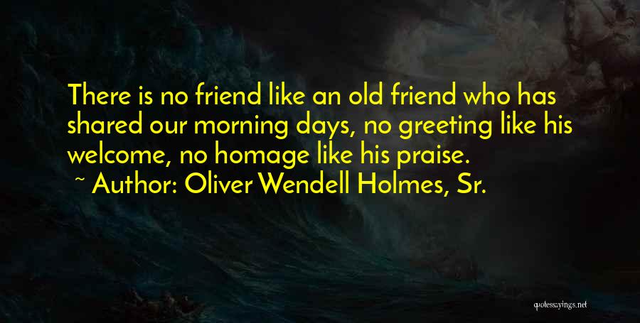 There Is No Friendship Quotes By Oliver Wendell Holmes, Sr.