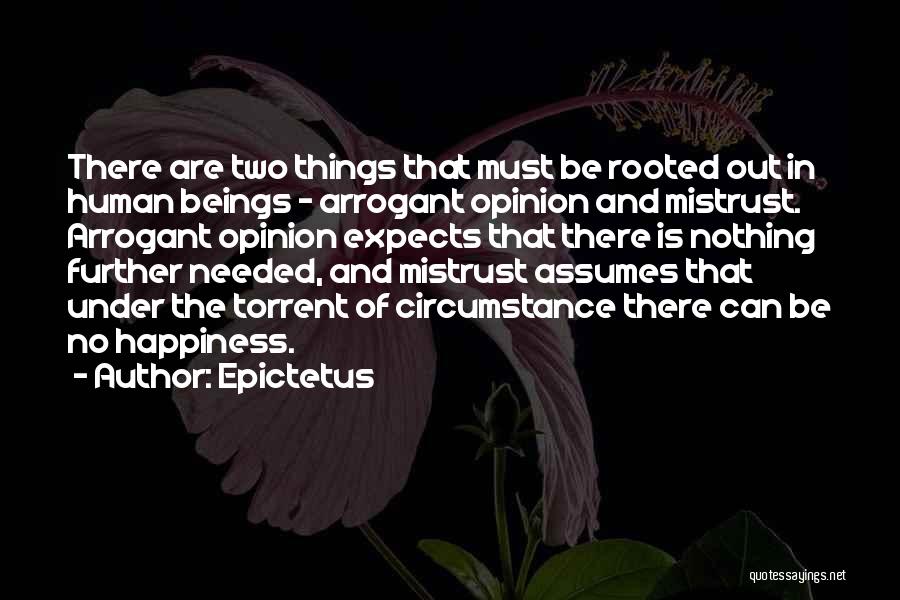 There Is No Happiness Quotes By Epictetus