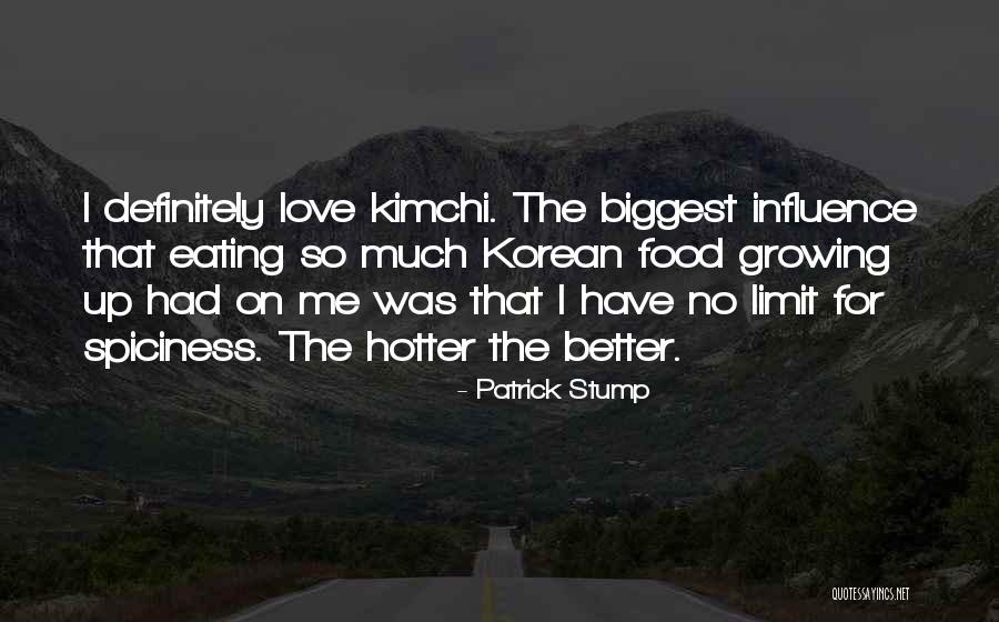 There Is No Limit In Love Quotes By Patrick Stump